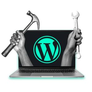 چرا تعمیر و نگهداری مداوم از وب سایت موجب موفقیت در بازاریابی می شود