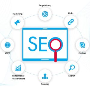 سئو سایت تازه تأسیس