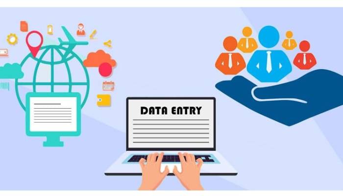 نقش Data Entry در بهبود سئو وب سایت