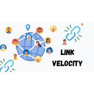 اهمیت لینک ولوسیتی در سئو