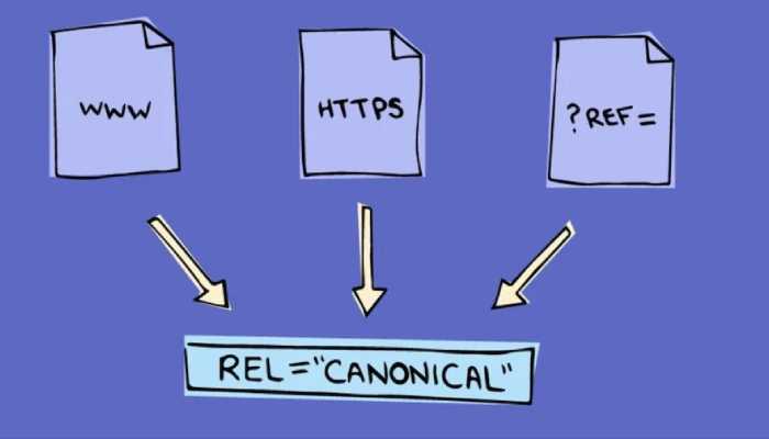 تگ Canonical چیست؟ کاربرد تگ کنونیکال در سئو