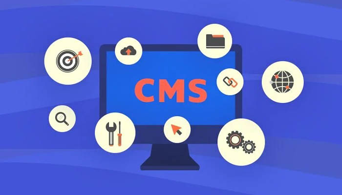 مشکلات رایج در طراحی سایت با CMS های رایگان