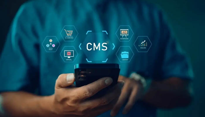 مشکلات رایج در طراحی سایت با CMS های رایگان