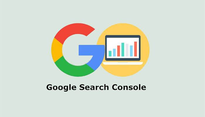 مقایسه ابزار ملخ با سرچ کنسول